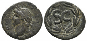 Domitian. 81-96 AD. Æ Seleukis and Pieria Antioch VF
5.88 gr