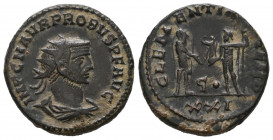 Probus. AD 276-282. AE folis VF
4.19 gr