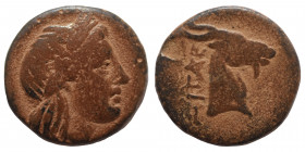 AEOLIS. Aigai. Circa 3rd century BC. Ae (bronze, 3.09 g, 17 mm). Laureate head of Apollo to right. Rev. Head and neck of a goat to right, AIΓAE behind...