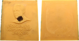 Belgium - Baudouin I (1951-1993), 5 Francs ND (1985) Obverse Positive Epoxy Mold from André Gastmans (Epoxy, 655 gr, 20.5 x 23 cm, 14 mm thick)

Modèl...