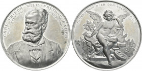 Medaillen Deutschland - Geographisch: Nürnberg: Zinnmedaille 1893 von H. Schwabe,bei Lauer, auf den Tod von Carl-Friedrich Wilhelm von Faber (1851-189...