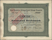 Deutschland, Hof 1905, Hofer Bierbrauerei AG Deininger Kronenbräu Hof 1905, GRÜNDER-Aktie 1000 M. Sehr seltenes Stück.
 [differenzbesteuert]
