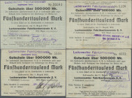 Deutschland - Notgeld - Berlin und Brandenburg: Luckenwalde, Luckenwalder Fabrikantenverein E. V., 500 Tsd. Mark, 11.8.1923, 14 verschiedene Scheine m...