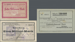Deutschland - Notgeld: Interessantes Lot von 18 Scheinen, mit Arzberg Porzellanfabrik Schönwald 50 Mrd., Aussig 1918 2, 10 und 20 Kronen, 3 x Avignon ...