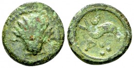 Saguntum AE Quadrans, c. 100-30 BC 

Spain, Arse/ Saguntum . AE Quarter Unit/Quadrans (16 mm, 4.16 g), c. mid 2nd century BC.
Obv. Shell.
Rev. Dol...