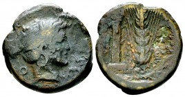 Metapontum AE21, c. 425-350 BC, rare 

Lucania, Metapontum . AE21 (6.21 g), c. 425-350 BC.
Obv. Head of Nike to right.
Rev. Grain ear with leaf to...