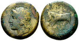 Tauromenion AE Hemilitron, c. 339/8-336 BC 

Sicily, Tauromenion . AE Hemilitron (25 mm, 16.91 g), c. 339/8-336 BC.
Obv. [ΑΡΧΑΓΕΤΑΣ], Laureate head...