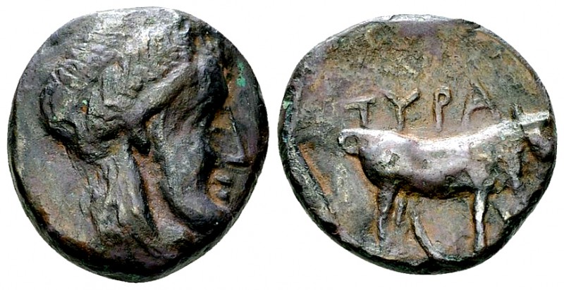 Tyra AE Hemiobol, c. 350-300 BC 

Skythia, Tyra . AE Hemiobol (18 mm, 6.21 g),...