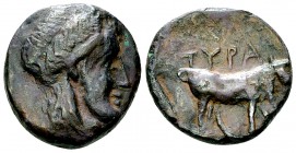 Tyra AE Hemiobol, c. 350-300 BC 

Skythia, Tyra . AE Hemiobol (18 mm, 6.21 g), c. 350-300 BC.
Obv. Laureate head of Tyras to right.
Rev. TYPA, Bul...