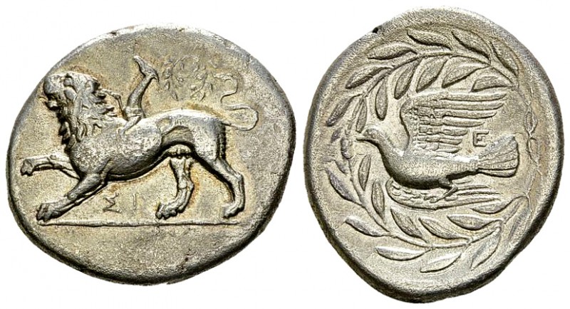 Sicyon AR Stater, c. 340s BC 

 Sicyon , Sicyonia. AR Stater (22-25 mm, 11.56 ...