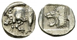 Kyzikos AR Diobol, c. 480 BC 

Mysia, Kyzikos . AR Diobol (11 mm, 1.21 g), c. 480 BC.
Obv. Forepart of boar to left, tunny behind.
Rev. Head of li...