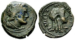 Ptolemy II Philadelphos AE Trichalkon 

Ptolemaic Kings of Egypt. Ptolemy II Philadelphos (285-246 BC). AE Trichalkon (16 mm, 3.14 g), Kyrene.
Obv....