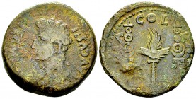 Augustus AE Dupondius, Colonia Patricia 

 Augustus (27 BC-14 AD). AE Dupondius (32-33 mm, 22.78 g), Colonia Patricia, Spain.
Obv. PERMISS[V CAESAR...