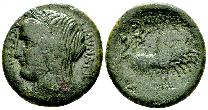 Enna AE27, L. Munatius and L. Cestius, Duoviri, 44-36 BC, rare 

Sicily, Enna ...