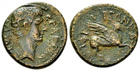 Caligula AE21, Corinth 

 Caligula (37-41 AD). AE21 (6.69 g), Achaea, Corinth, 37-38 AD.
Obv. C CAESAR AVG, Bare head to right.
Rev. P VIPSANIO AG...