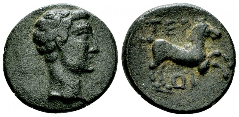 Tiberius AE19, Termessos Minor 

 Tiberius (14-37 AD). AE19 (4.62 g), Termesso...
