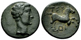 Tiberius AE19, Termessos Minor 

 Tiberius (14-37 AD). AE19 (4.62 g), Termessos Minor, Pisidia.
Obv. Head to right.
Rev. Horse prancing right; abo...