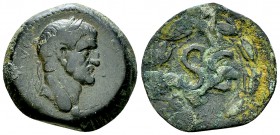 Galba AE22, ex Richard McAlee Collection 

 Galba (68-69 AD). AE22 (7.16 g), Antioch, Syria.
Obv. IMP SER GALBA CAE AVG, Laureate head to right.
R...