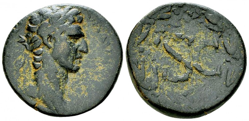 Nerva AE26, Antioch 

 Nerva (96-98 AD). AE26 (13.19 g). Syria, Antioch, 97 AD...