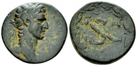 Nerva AE26, Antioch 

 Nerva (96-98 AD). AE26 (13.19 g). Syria, Antioch, 97 AD.
Obv. IMP CAESAR NERVA AVG III COS, Laureate head to right.
Rev. La...