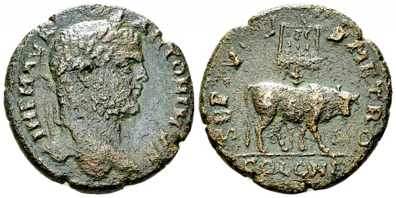 Caracalla AE Dichalkon, Tyre 

 Caracalla (198-217 AD). AE Dichalkon (26 mm, 1...