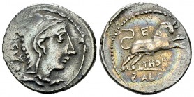 L. Thorius Balbus AR Denarius, 105 BC 

 L. Thorius Balbus. AR Denarius (20 mm, 3.76 g), Roma, 105 BC.
Obv. Head of Iuno Sospita right, wearing goa...