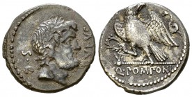 Q. Pomponius Rufus AR Denarius, 70 BC, very rare 

 Q. Pomponius Rufus. AR Denarius (18 mm, 3.72 g). Rome, 70 BC.
Obv. RVFVS S C, Laureate head of ...