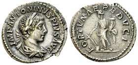 Elagabalus AR Denarius, Fortuna reverse 

 Elagabalus (218-222 AD). AR Denarius (18-20 mm, 2.96 g), Rome.
Obv. IMP ANTONINVS PIVS AVG, Laureate, dr...