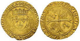 Louis XII, Ecu d'or au porc-épic 

France, Royaume. Louis XII (1498-1514). Ecu d'or au porc-épic (25-26 mm, 3.43 g).
Duplessy 655.

Petit défaut ...