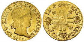 Louis XIV, Louis d'or à la mèche longue 1654 D, Lyon 

France, Royaume. Louis XIV (1643-1715). Louis d'or à la mèche longue 1654 D (25 mm, 6.73 g), ...