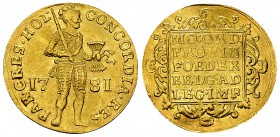 Holland AV Dukat 1781 

Netherlands. Holland . AV Ducat 1781 (22 mm, 3.44 g).
Delm. 775.

Good very fine.