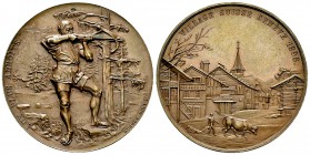 Genf, AE Schützenmedaille 1896 

Schweiz, Eidgenossenschaft. AE Medaille 1896 (32 mm, 15.40 g), Schützenmedaille.
Richter 690b.

FDC.