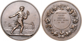 Landwirtschaft, Gartenbau, Tierzucht - Algerien Bronzemedaille 1911 (v. Lagrange) Landwirtschaftsprämie, i.Rd: Füllhorn BRONZE 
kl.Rf. 45,3mm 55,7g v...