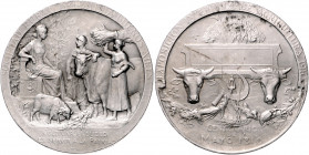 Landwirtschaft, Gartenbau, Tierzucht - Argentinien Versilberte Bronzemedaille 1910 (v. Lenoir) Prämie der Internationalen Landwirtschaftsausstellung i...