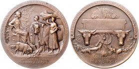 Landwirtschaft, Gartenbau, Tierzucht - Argentinien Bronzemedaille 1910 (v. Lenoir) Prämie der Internationalen Landwirtschaftsausstellung in Buenos Air...