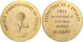 Landwirtschaft, Gartenbau, Tierzucht - Belgien Vergoldete Silbermedaille 1847 graviert Preis für die schönste Dahlie bei der Gartenbauausstellung in T...