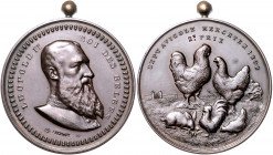Landwirtschaft, Gartenbau, Tierzucht - Belgien Bronzemedaille 1898 (v. Fisch&Cie.) 2. Preis bei der Ausstellung für Geflügelzucht in Merchtem 
mit Ku...