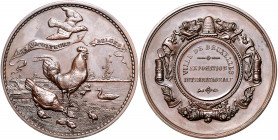 Landwirtschaft, Gartenbau, Tierzucht - Belgien Bronzemedaille o.J. (v. Baetes) Prämie der Internationalen Geflügelzuchtausstellung in Brüssel 
51,1mm...