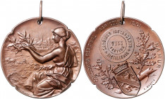 Landwirtschaft, Gartenbau, Tierzucht - Belgien Bronzemedaille 1901 (v. Le Roy/Martin) Prämie der Landwirtschaftsausstellung in Namur, für Destillieran...
