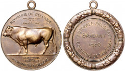 Landwirtschaft, Gartenbau, Tierzucht - Belgien Bronzemedaille 1908 (v. Dillens) Prämie der Nationalen Ausstellung Brabant für Rinderzucht 
mit Öse 44...