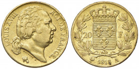 FRANCIA Luigi XVIII (1815-1824) 20 Franchi 1818 A - Gad. 1028 AU (g 6,43)

BB