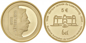 LUSSEMBURGO 5 Euro 2003 - AU (g 6,30)

PROOF
