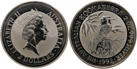Australia - Elisabetta II - 2 Dollari 1992 "kookaburra" - KM# 179 Ag (2 oz) - In capsula originale
 In capsula originale
FS