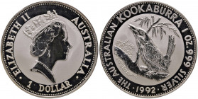 Australia - Elisabetta II - Dollaro 1992 "kookaburra" - KM# 164 Ag (1 oz)
In capsula originale
FS