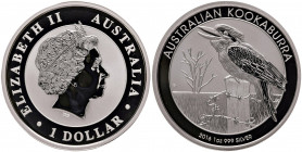 Australia - Elisabetta II - Dollaro 2016 "Kookaburra" - Ag (1 oz)
In capsula
FS