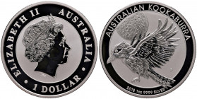 Australia - Elisabetta II - Dollaro 2018 "Kookaburra" - Ag (1 oz)
In capsula
FS