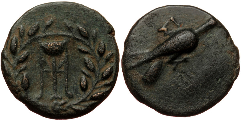 Sicyon, AE (Bronze, 17,8 mm, 3,94 g), ca. 196-160 BC. Obv: Dove standing right, ...