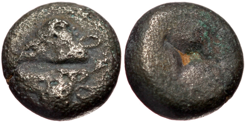Lesbos, uncertain mint AR Obol (Silver, 0.64g, 7mm) ca 500-450 BC)
Obv: Two boa...