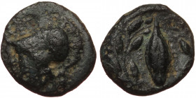 Aeolis, Elaia, AE (Bronze, 10,8 mm, 1,12 g), ca.340-300 BC. Obv: Helmeted head of Athena left. 
Rev: Grain-ear within olive wreath.
Ref: SNG von Aul...