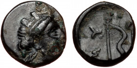 Ionia. Myous. AE (Bronze, 0.98g, 10mm) ca 400-380 BC
Obv: Turreted head of Kybele right.
Rev: MY, Bow and arrow.
Ref: Imhoof-Blumer KM 3; BMC -; SN...